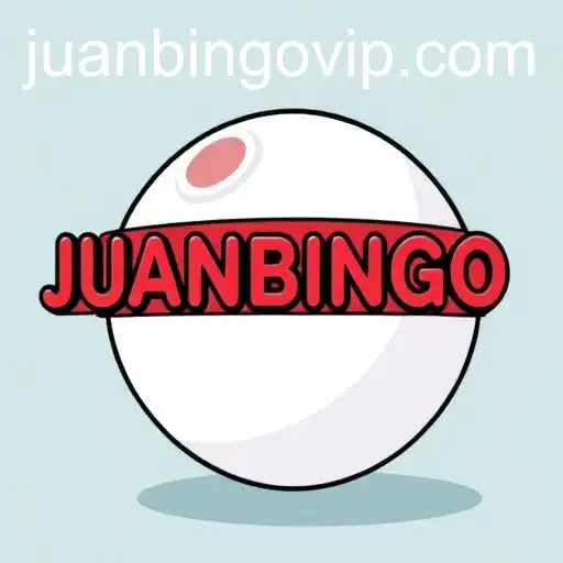 Understanding User Agreements: Exploring Key Aspects with JUANBINGO